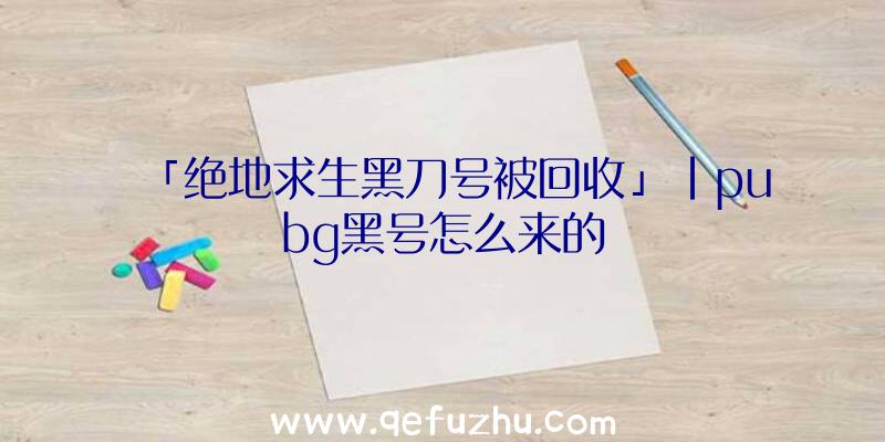 「绝地求生黑刀号被回收」|pubg黑号怎么来的